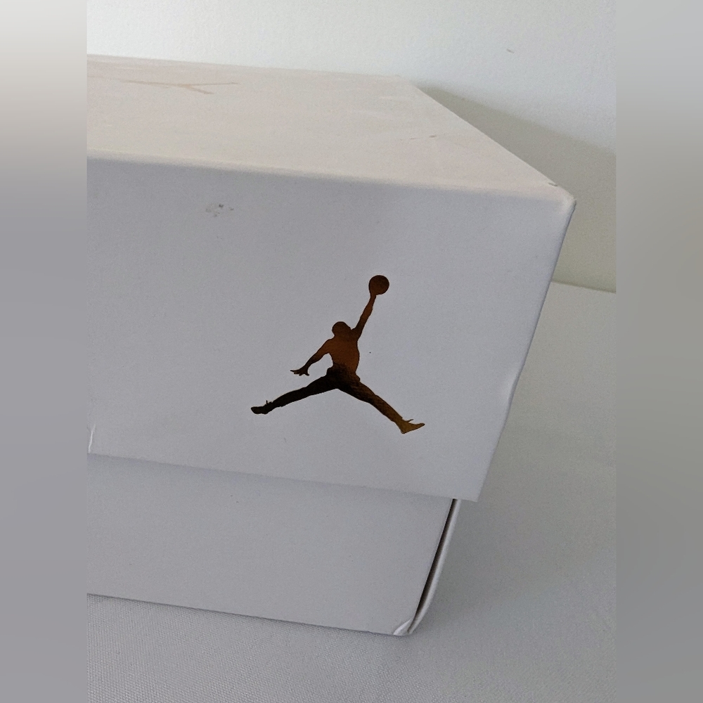 NWT Air Jordan 12s Wings - Picture 12 of 14